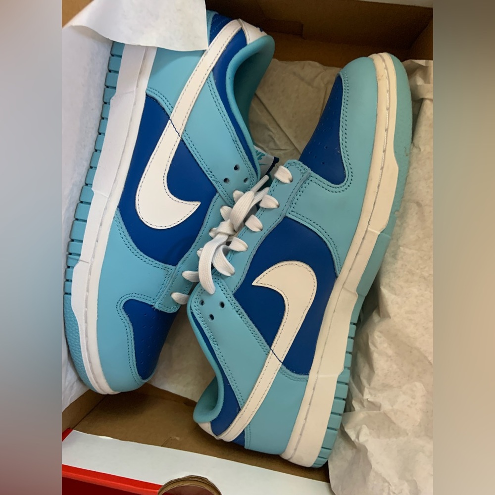 Nike Dunk Low Retro
